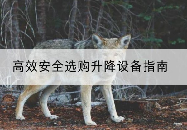 陆良升降货梯厂家推荐-*安全选购升降设备指南