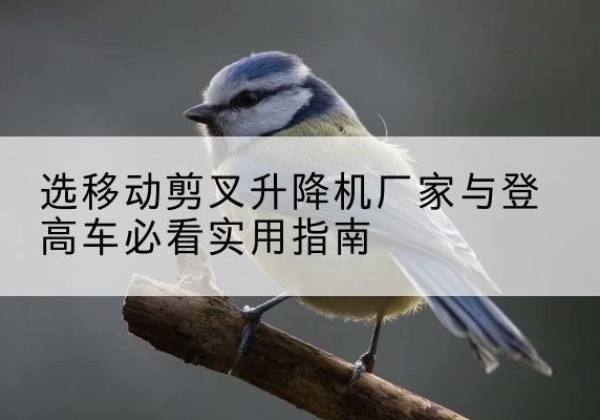 陆良电动升降机厂家-选移动剪叉升降机厂家与登高车必看实用指南