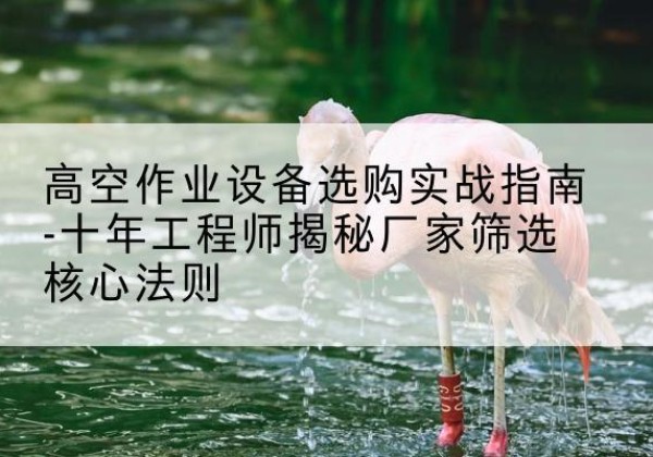 陆良剪叉式升降机厂家-高空作业设备选购实战指南-十年工程师揭秘厂家筛选核心法则